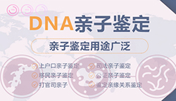 石家庄司法亲子鉴定详细流程及材料,石家庄正规的司法亲子鉴定机构正规机构有哪些 石家庄司法亲子鉴定详细流程及材料,石家庄正规的司法亲子鉴定机构正规机构有哪些