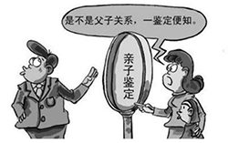 石家庄人民医院DNA亲子鉴定预约电话,石家庄正规亲子鉴定医院去哪查找 石家庄人民医院DNA亲子鉴定预约电话,石家庄正规亲子鉴定医院去哪查找