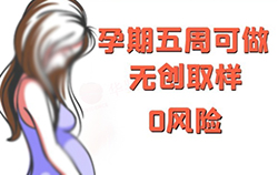 在石家庄怀孕期间如何做怀孕亲子鉴定,石家庄办理产前亲子鉴定准确吗 在石家庄怀孕期间如何做怀孕亲子鉴定,石家庄办理产前亲子鉴定准确吗