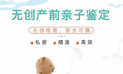 石家庄孕期亲子鉴定流程,
