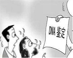 石家庄胎儿亲子鉴定条件和流程，石家庄哪里可以做产前亲子鉴定