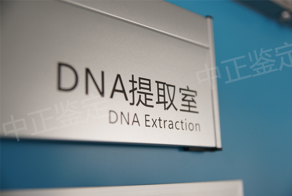 石家庄孕期亲子鉴定如何做,石家庄产前亲子鉴定结果准确吗 石家庄孕期亲子鉴定如何做,石家庄产前亲子鉴定结果准确吗