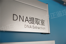 石家庄隐私亲子鉴定到哪里办理,石家庄隐私亲子鉴定机构电话地址查询 石家庄隐私亲子鉴定到哪里办理,石家庄隐私亲子鉴定机构电话地址查询